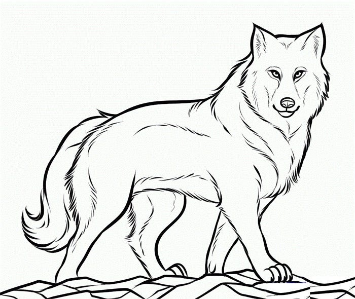 free printable wolf templates